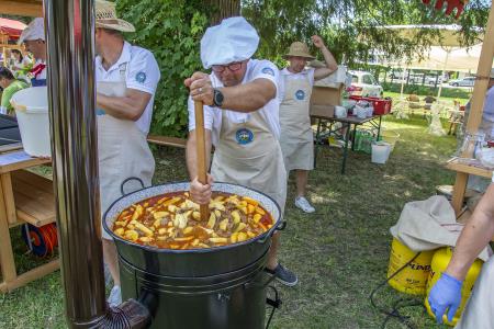ODPRTJE GRADU DVOR (35)